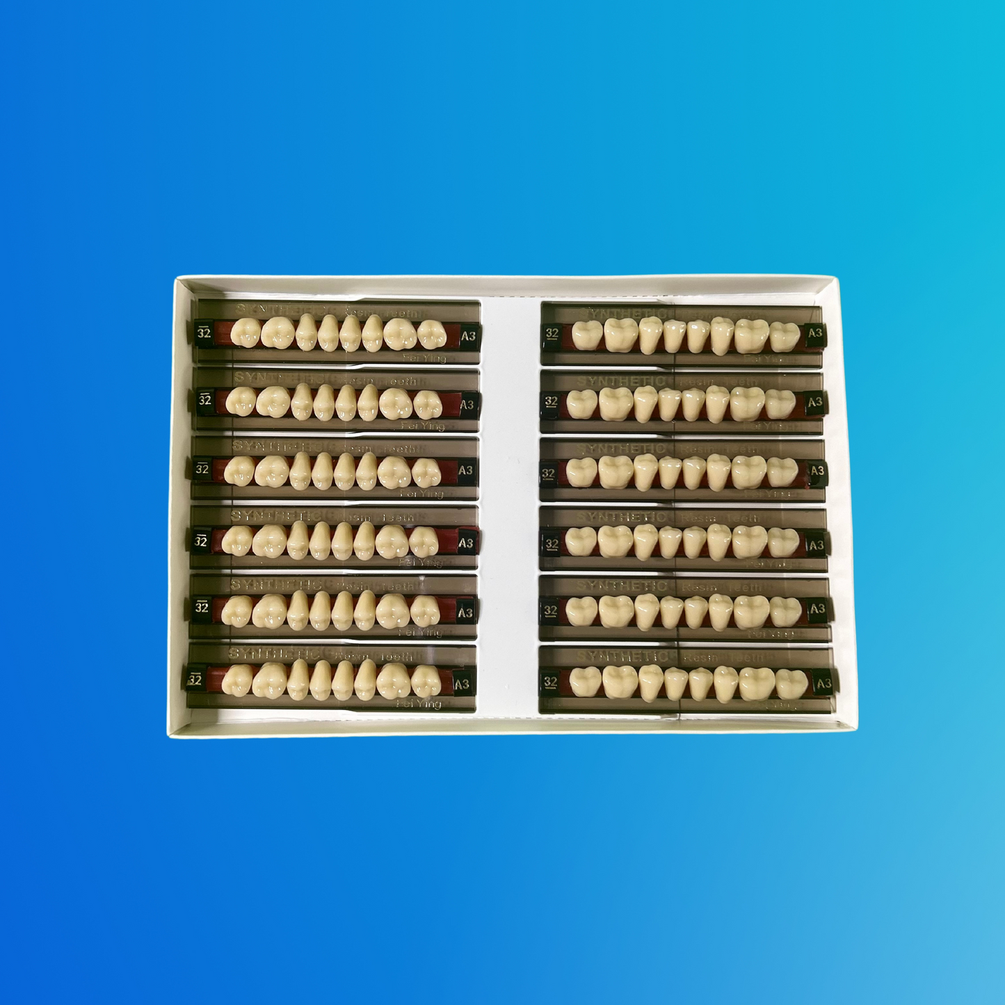 (A3/32/I) Tablilla de Dientes Sintéticos A3 Posterior Inferior N°32 X UNIDAD