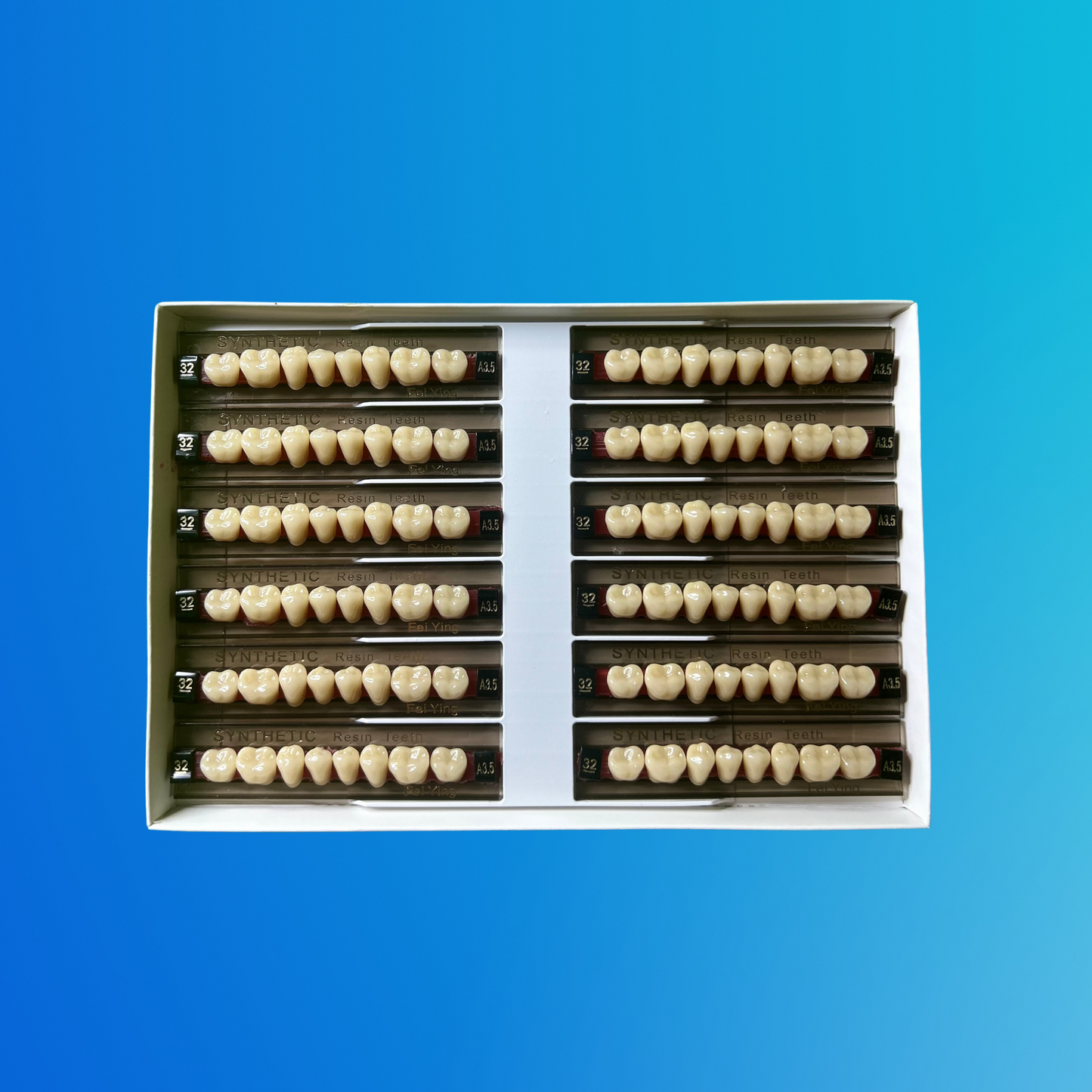 (A3.5/32/I) Tablilla de Dientes Sintéticos A3.5 Posterior Inferior N°32 X UNIDAD