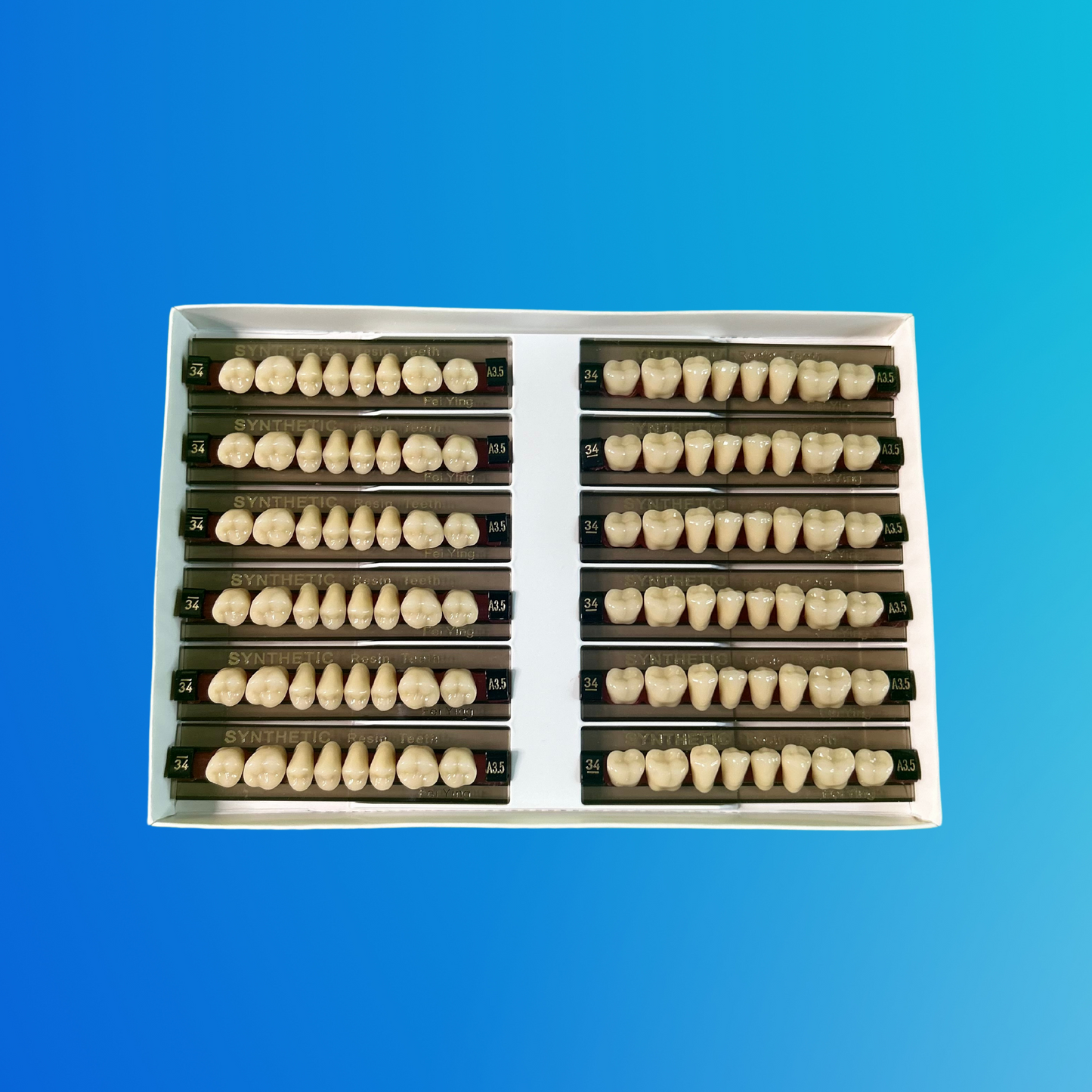 (A3.5/34/I) Tablilla de Dientes Sintéticos A3.5 Posterior Inferior N°34 X UNIDAD