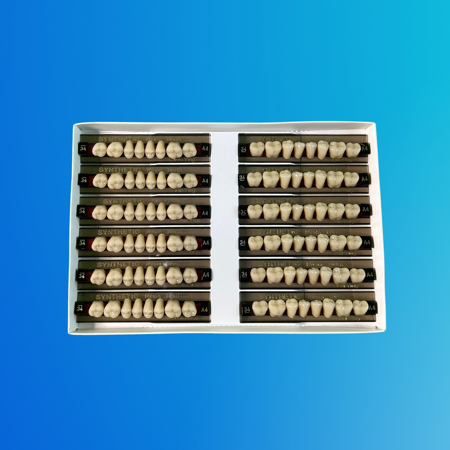 (A4/34/I) Tablilla de Dientes Sintéticos A4 Posterior Inferior N°34 X UNIDAD