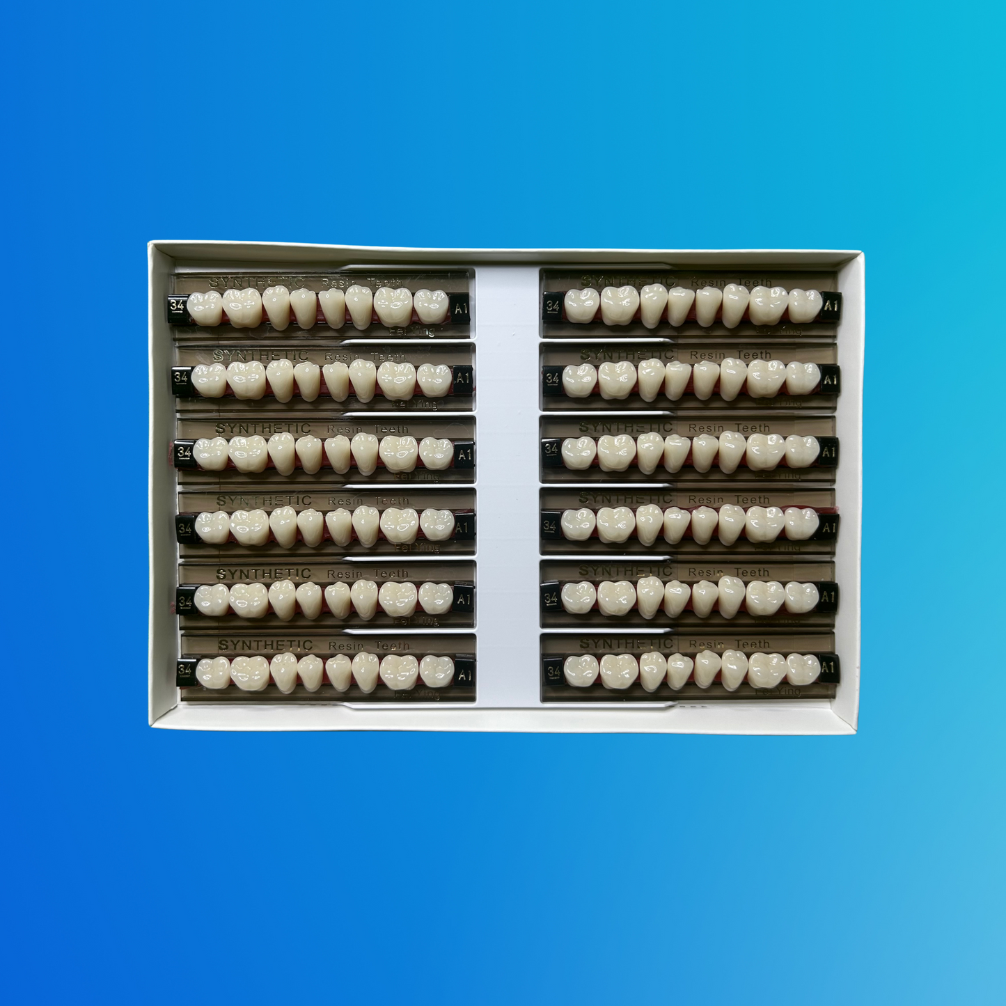 (A1/34/I) Tablilla de Dientes Sintéticos A1 Posterior Inferior N°34 X UNIDAD