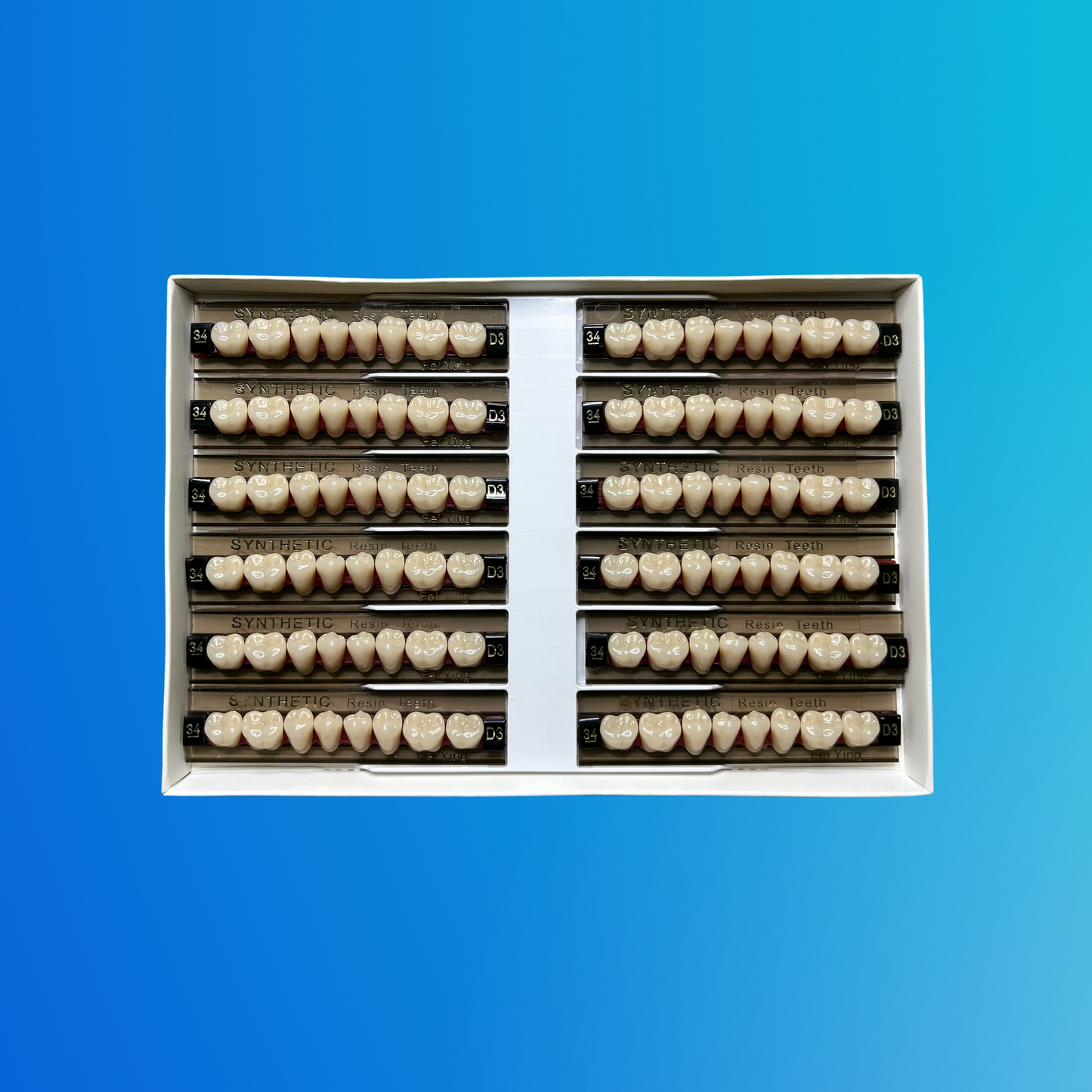 (D3/34/I) Tablilla de Dientes Sintéticos D3 Posterior Inferior N°34 X UNIDAD