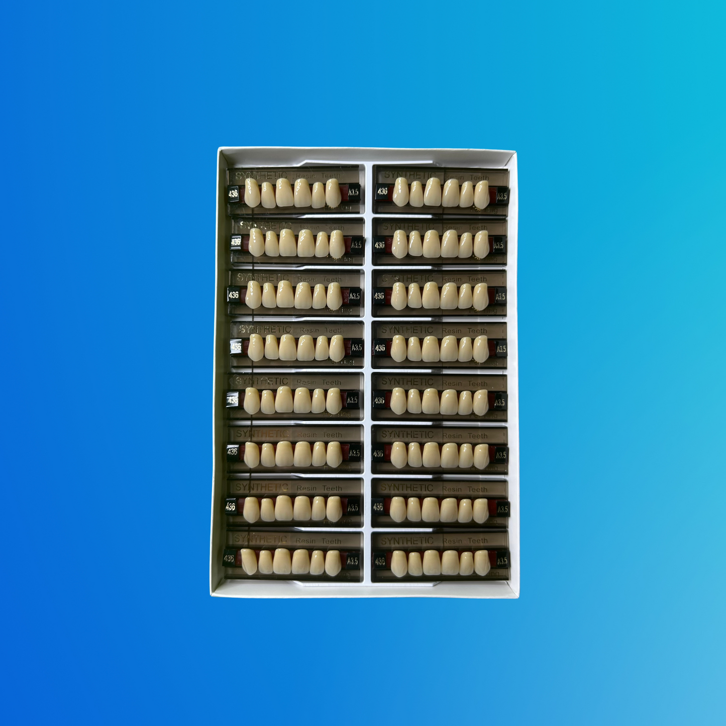 (A3.5/436) Tablilla de Dientes Sintéticos A3.5 Anterior Superior N°436 X UNIDAD