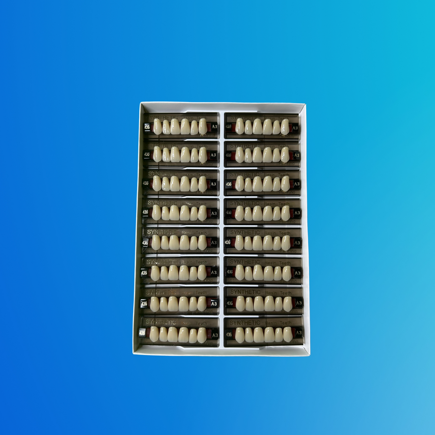 (A3/436) Tablilla de Dientes Sintéticos A3 Anterior Superior N°436 X UNIDAD