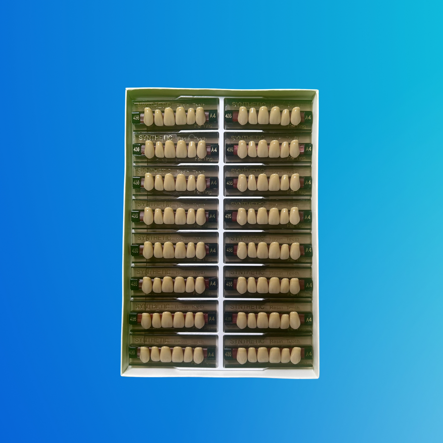 (A4/436) Tablilla de Dientes Sintéticos A4 Anterior Superior N°436 X UNIDAD