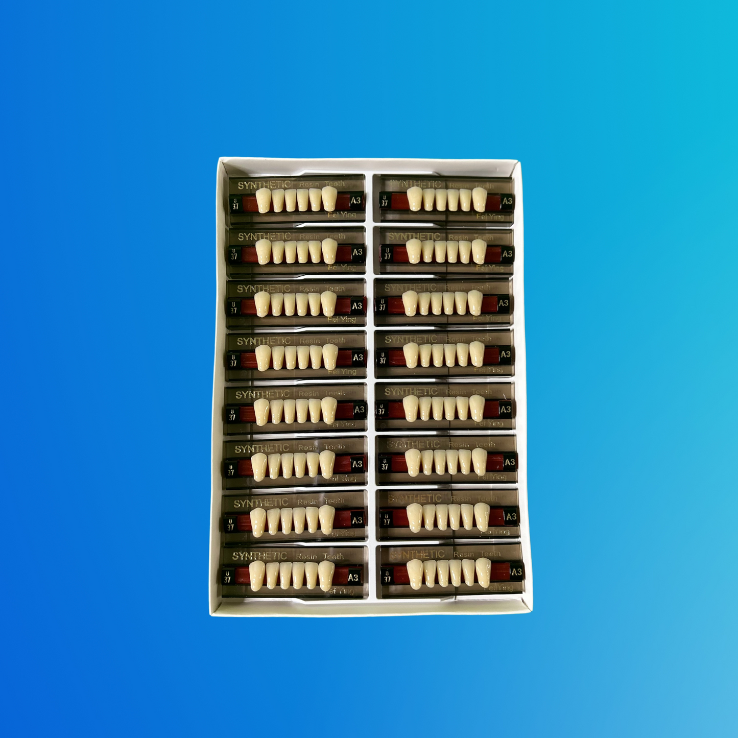 (A3/U37) Tablilla de Dientes Sintéticos A3 Anterior Inferior N°U37 X UNIDAD