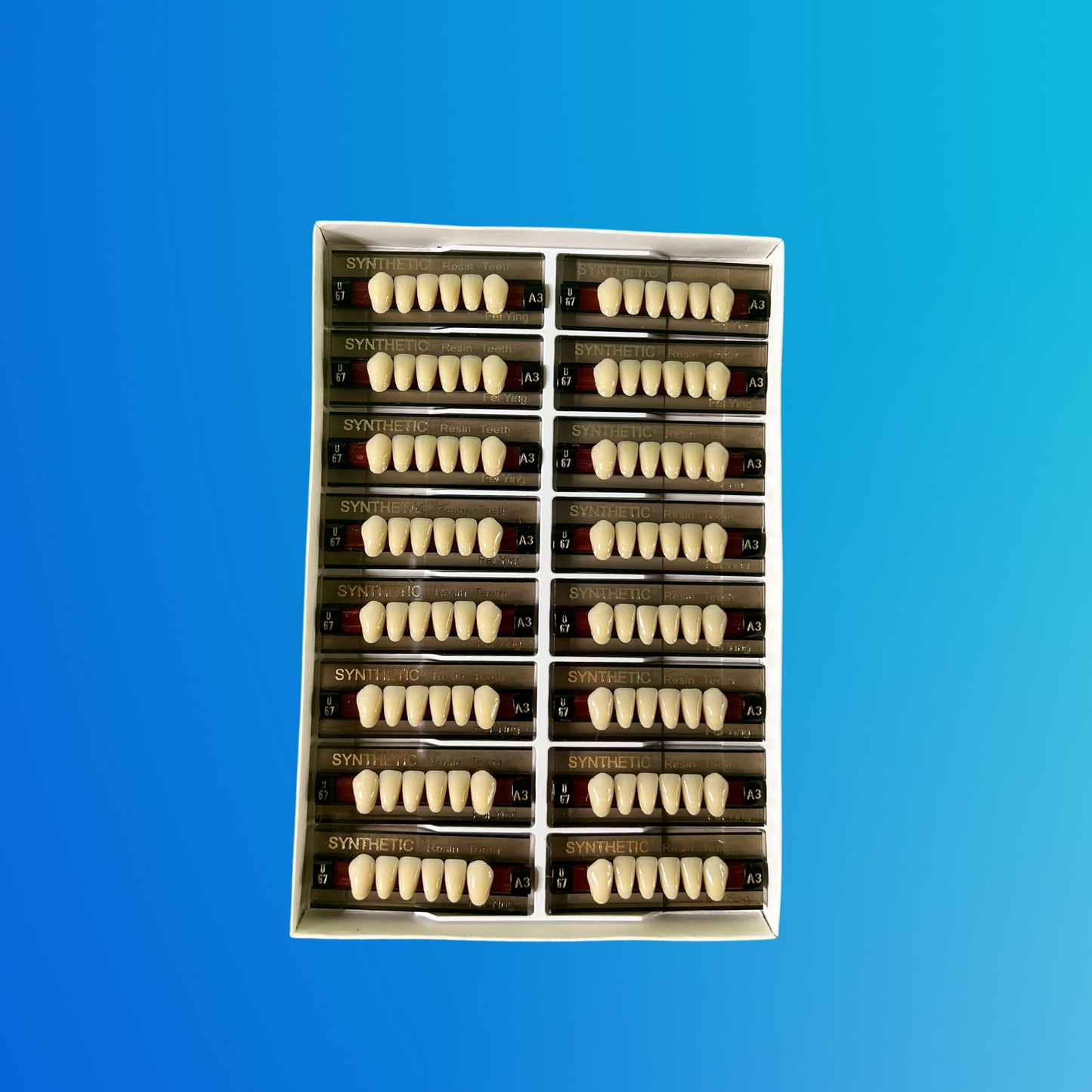 (A3/U67) Tablilla de Dientes Sintéticos A3 Anterior Inferior N°U67 X UNIDAD