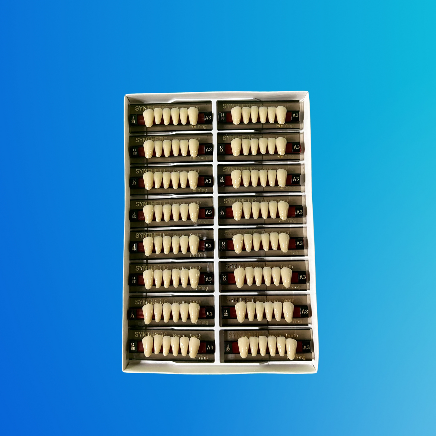 (A3/U88) Tablilla de Dientes Sintéticos A3 Anterior Inferior N°U88 X UNIDAD