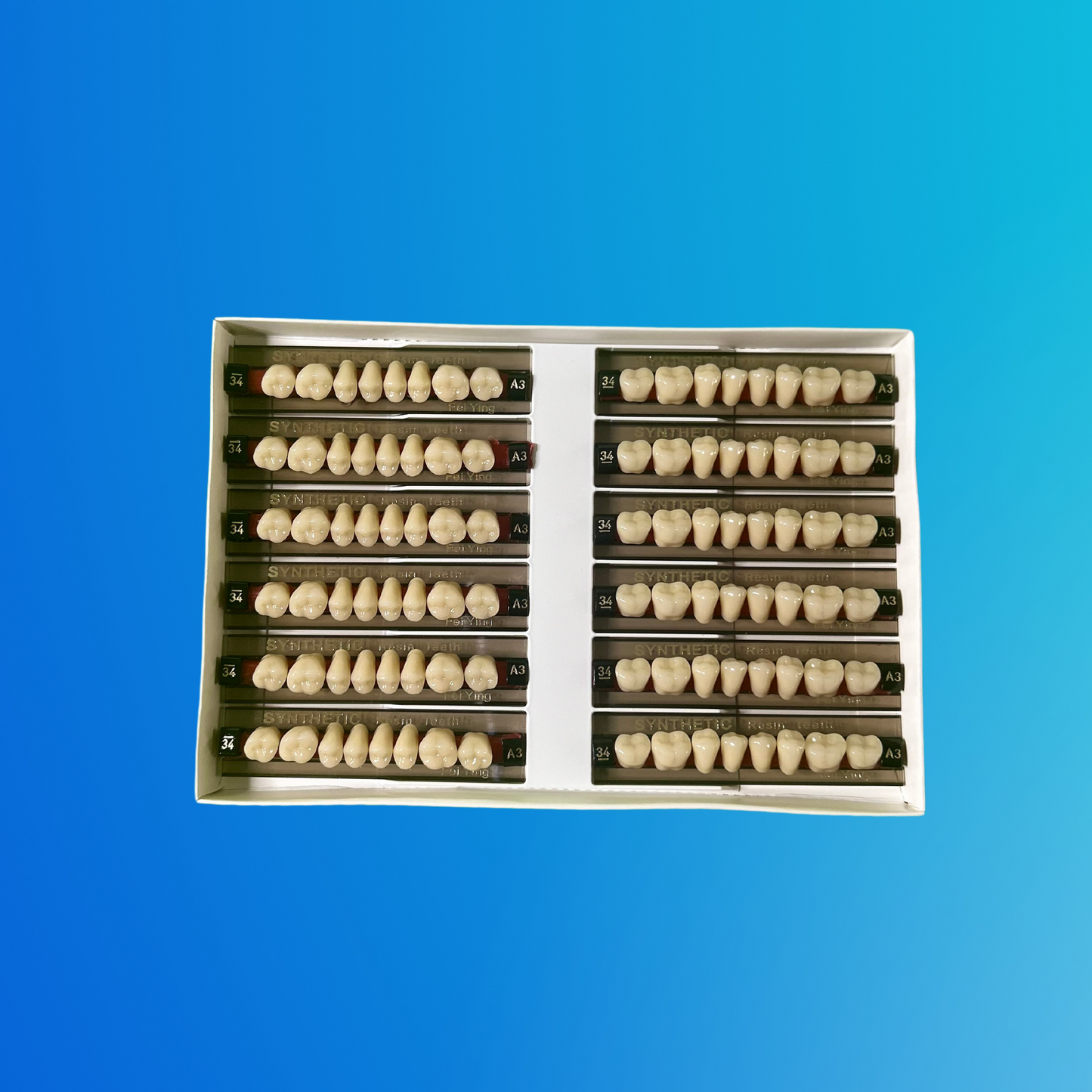 (A3/34/I) Tablilla de Dientes Sintéticos A3 Posterior Inferior N°34 X UNIDAD
