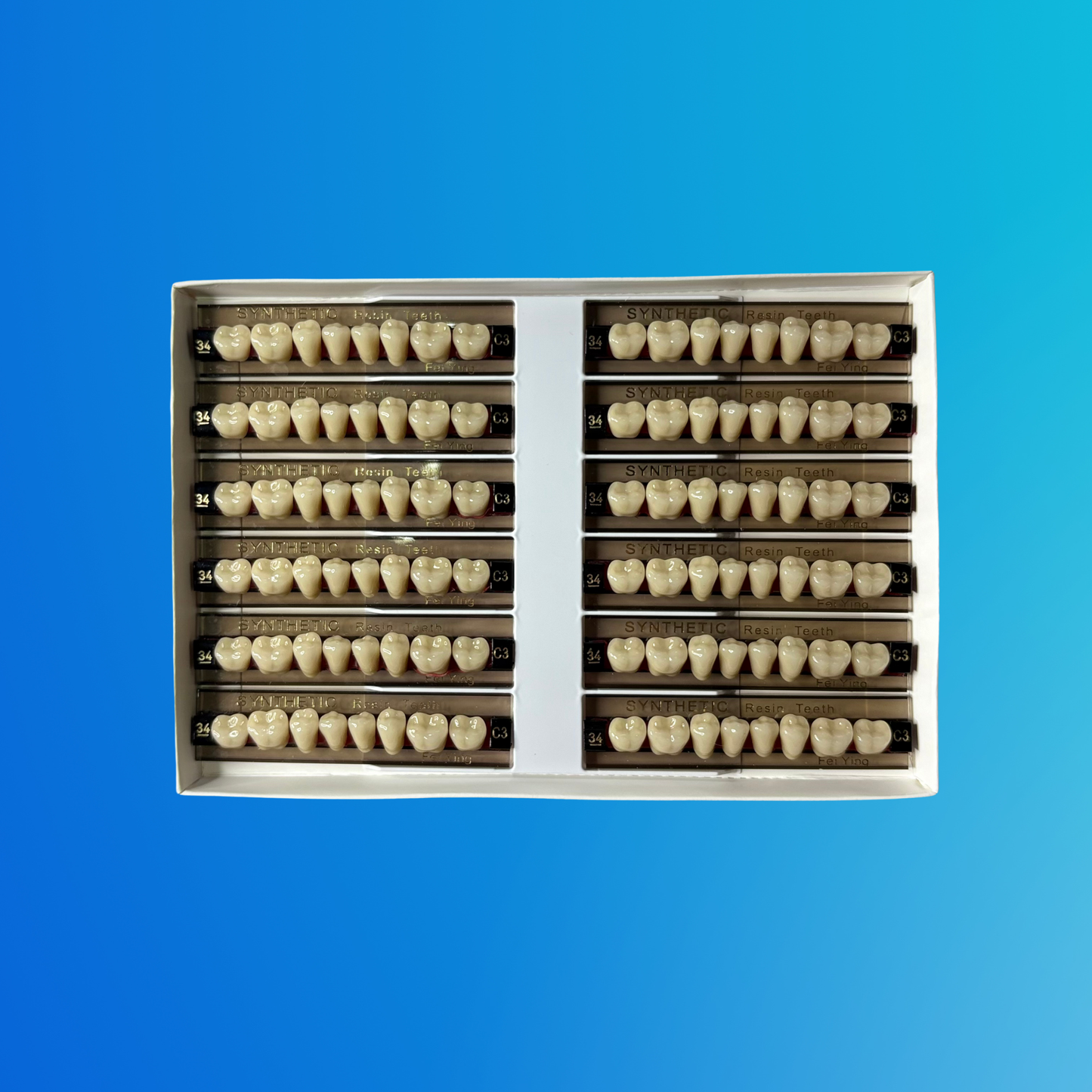 (C3/34/I) Tablilla de Dientes Sintéticos C3 Posterior Inferior N°34 X UNIDAD