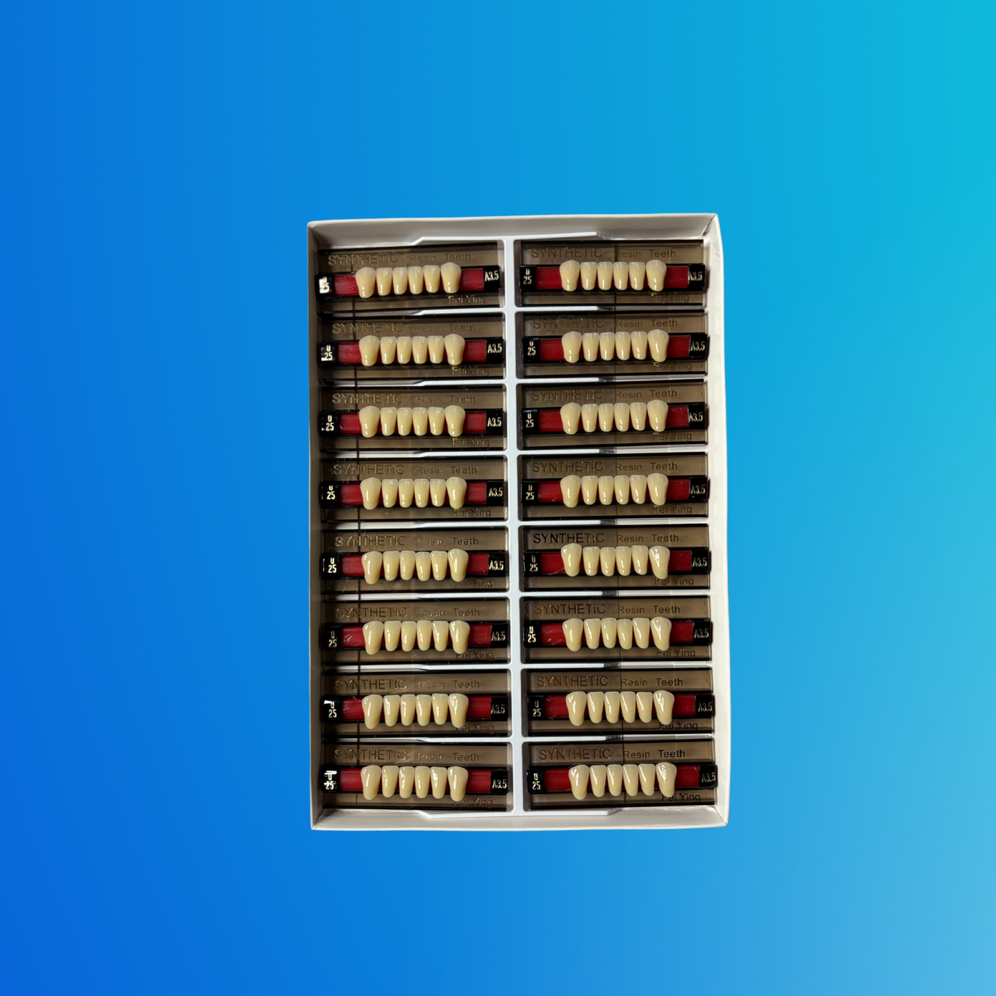 (A3.5/U25) Tablilla de Dientes Sintéticos A3.5 Anterior Inferior N°U25 X UNIDAD