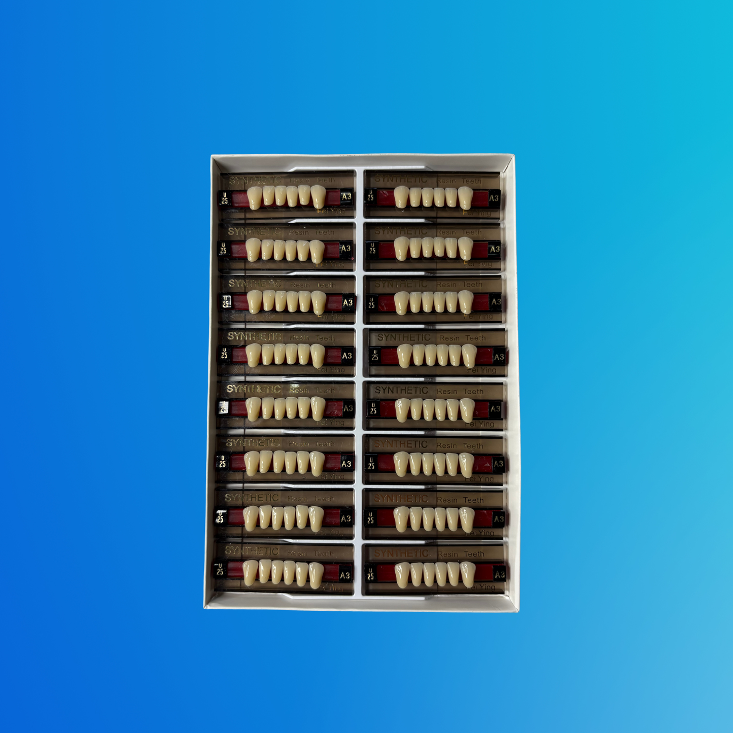 (A3/U25) Tablilla de Dientes Sintéticos A3 Anterior Inferior N°U25 X UNIDAD