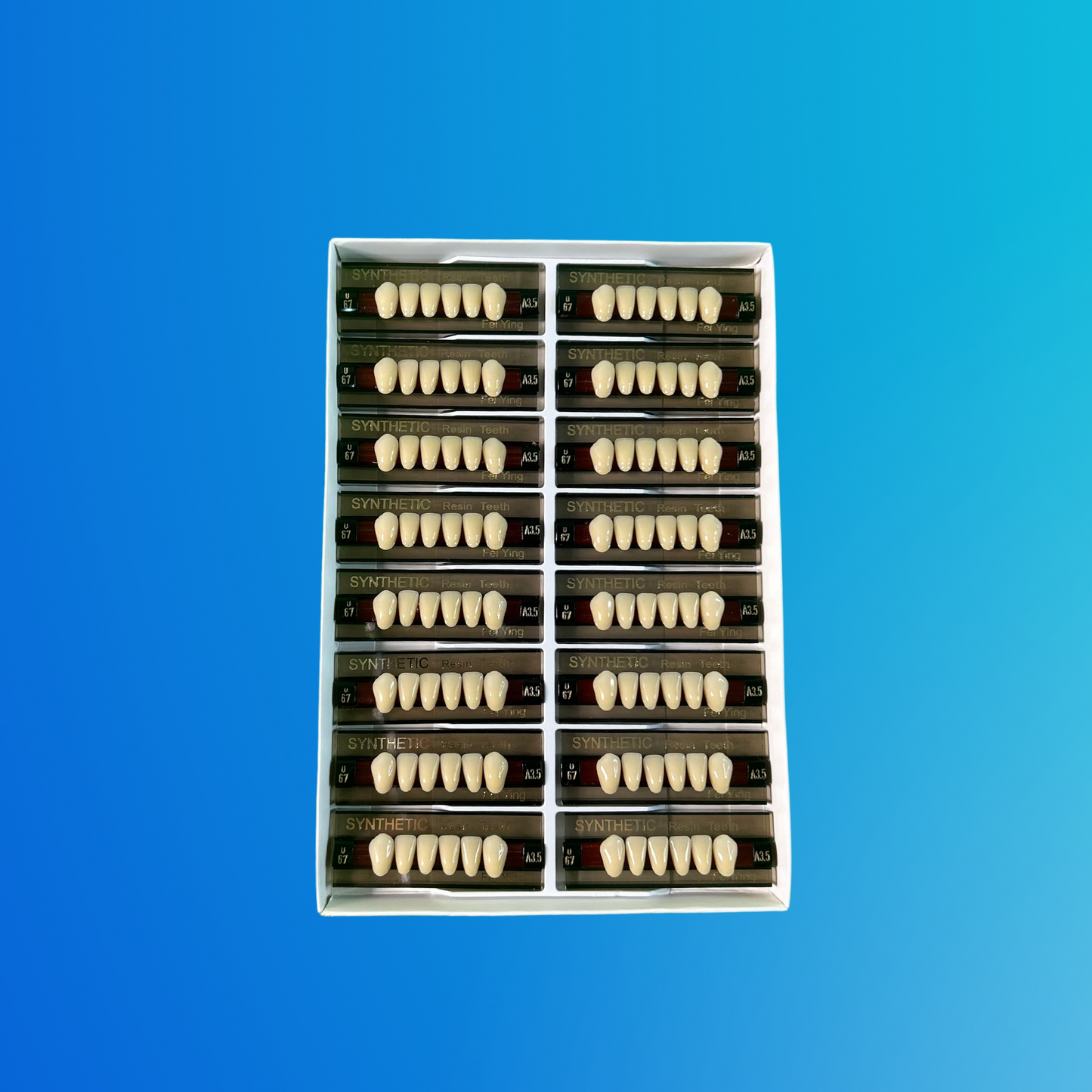 (A3.5/U67) Tablilla de Dientes Sintéticos A3.5 Anterior Inferior N°U67 X UNIDAD