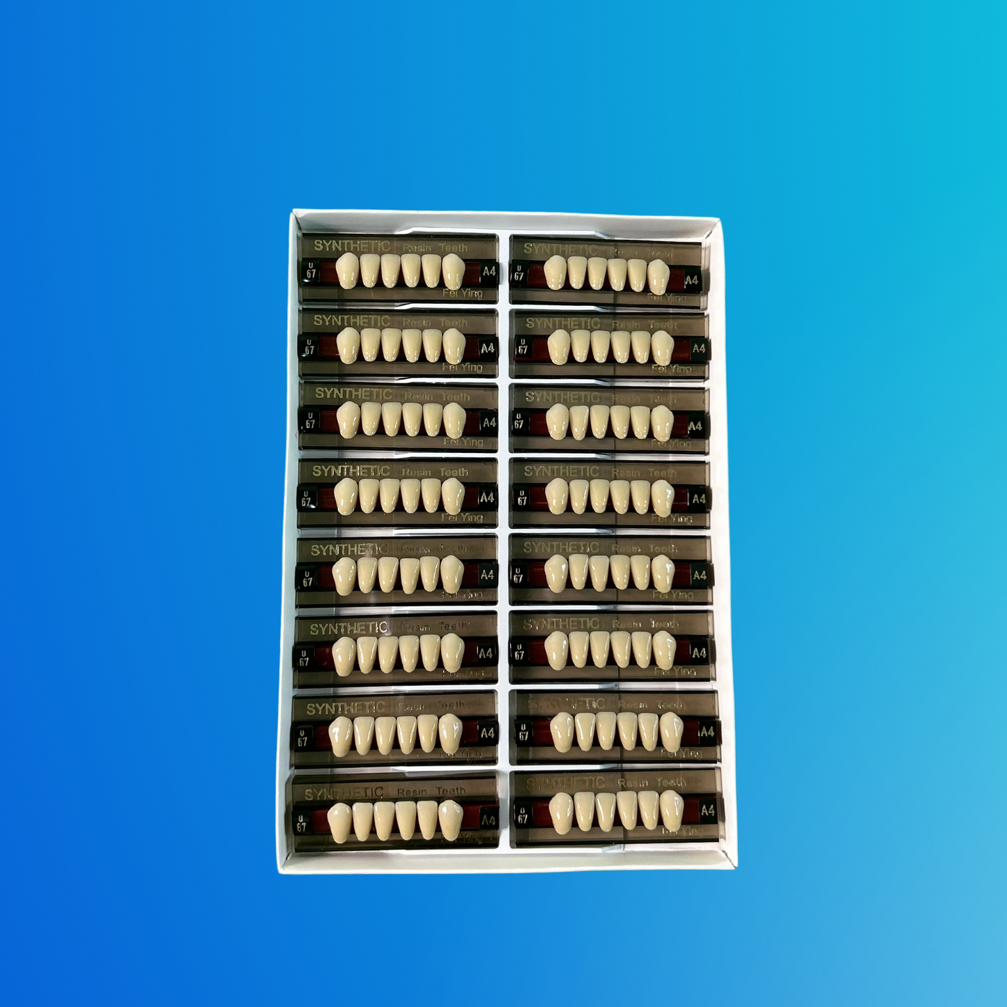 (A4/U67) Tablilla de Dientes Sintéticos A4 Anterior Inferior N°U67 X UNIDAD