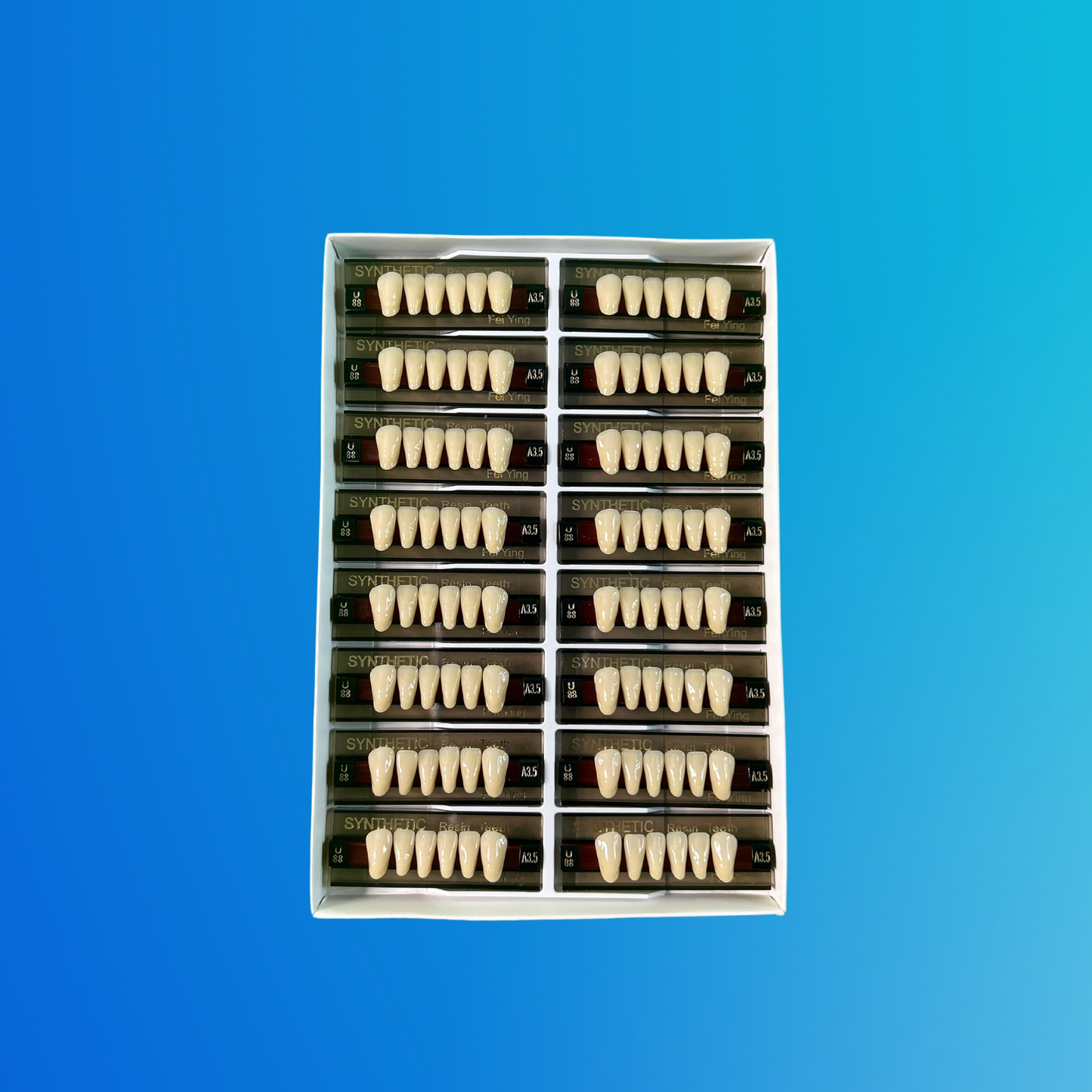 (A3.5/U88) Tablilla de Dientes Sintéticos A3.5 Anterior Inferior N°U88 X UNIDAD