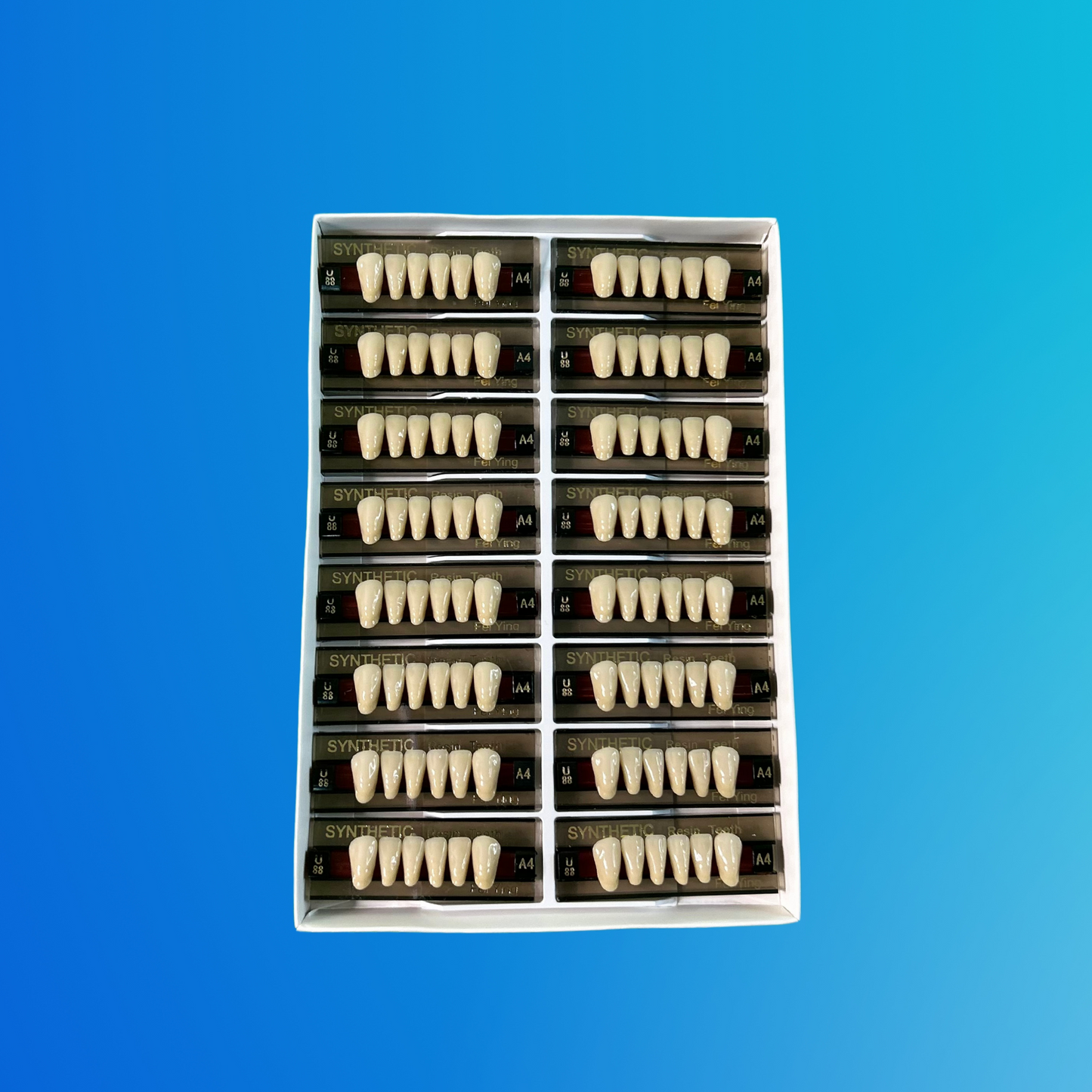 (A4/U88) Tablilla de Dientes Sintéticos A4 Anterior Inferior N°U88 X UNIDAD