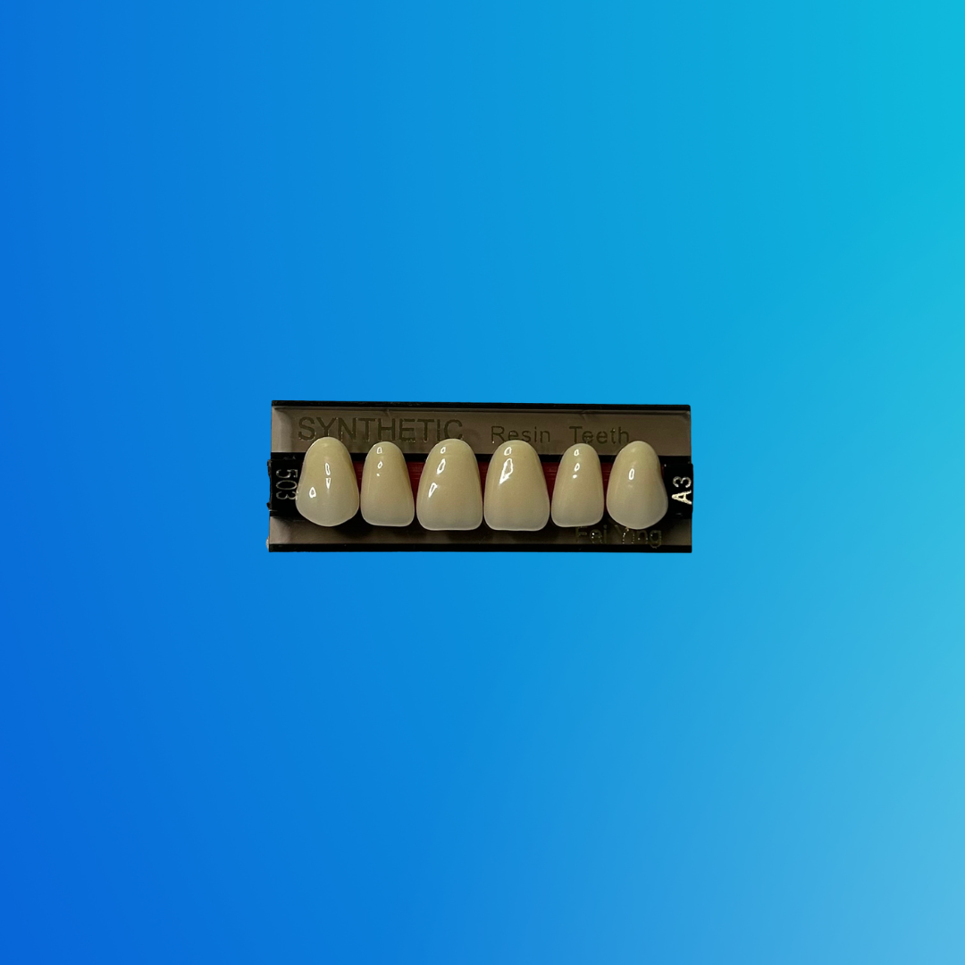 (A3/503) Tablilla de Dientes Sintéticos A3 Anterior Superior N°503 X UNIDAD