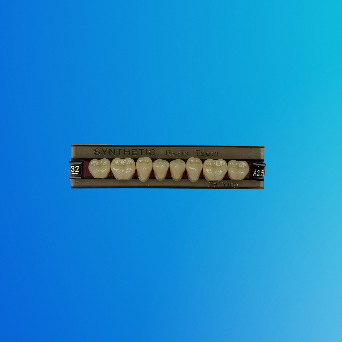 (A3.5/32/I) Tablilla de Dientes Sintéticos A3.5 Posterior Inferior N°32 X UNIDAD