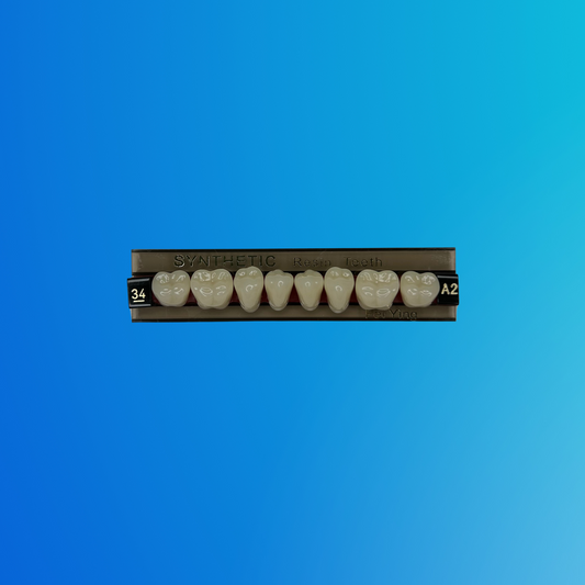 (A2/34/I) Tablilla de Dientes Sintéticos A2 Posterior Inferior N°34 X UNIDAD