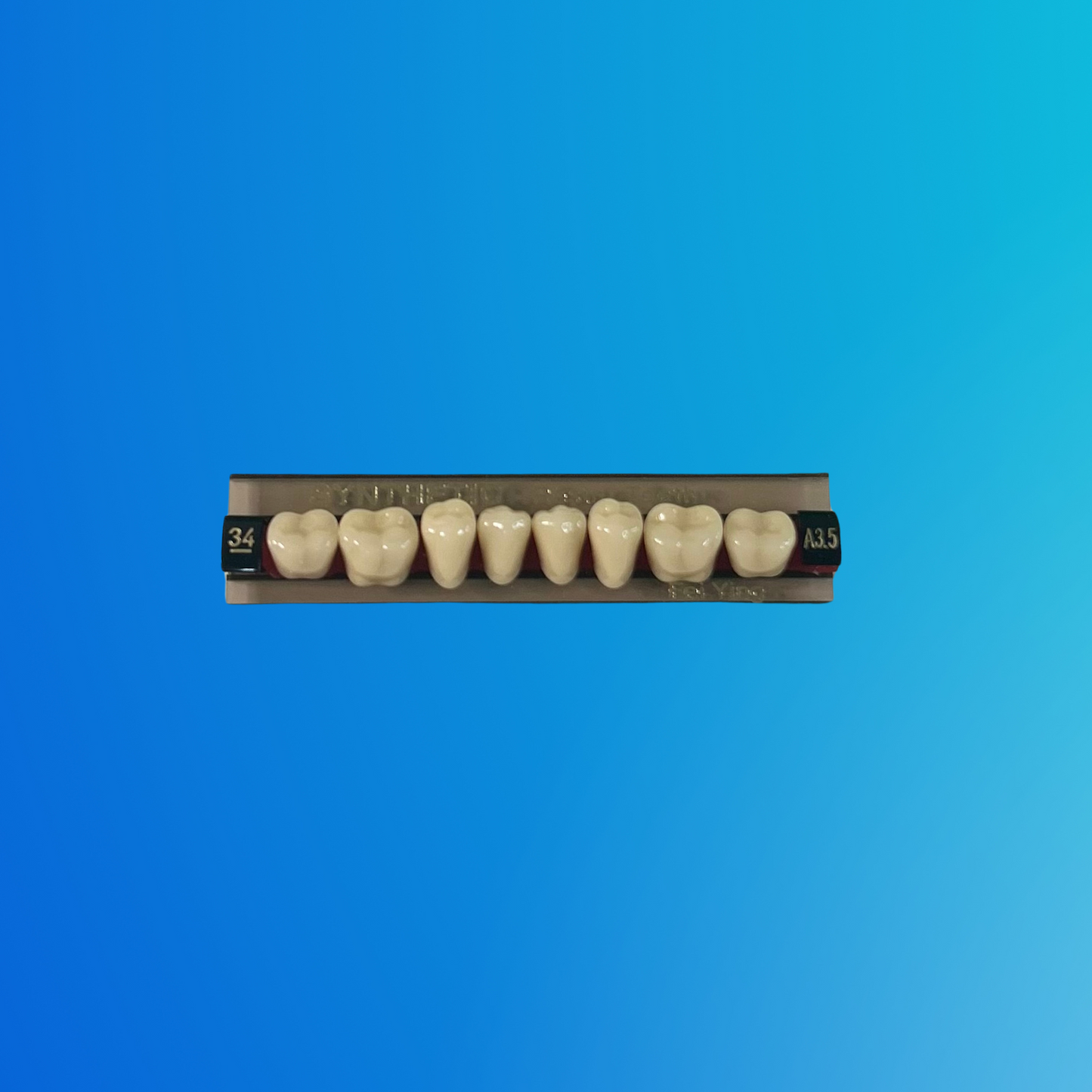 (A3.5/34/I) Tablilla de Dientes Sintéticos A3.5 Posterior Inferior N°34 X UNIDAD