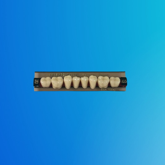 (A3.5/34/I) Tablilla de Dientes Sintéticos A3.5 Posterior Inferior N°34 X UNIDAD