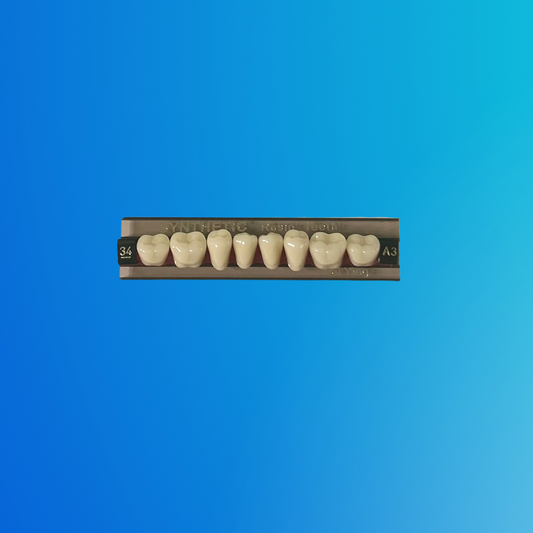 (A3/34/I) Tablilla de Dientes Sintéticos A3 Posterior Inferior N°34 X UNIDAD