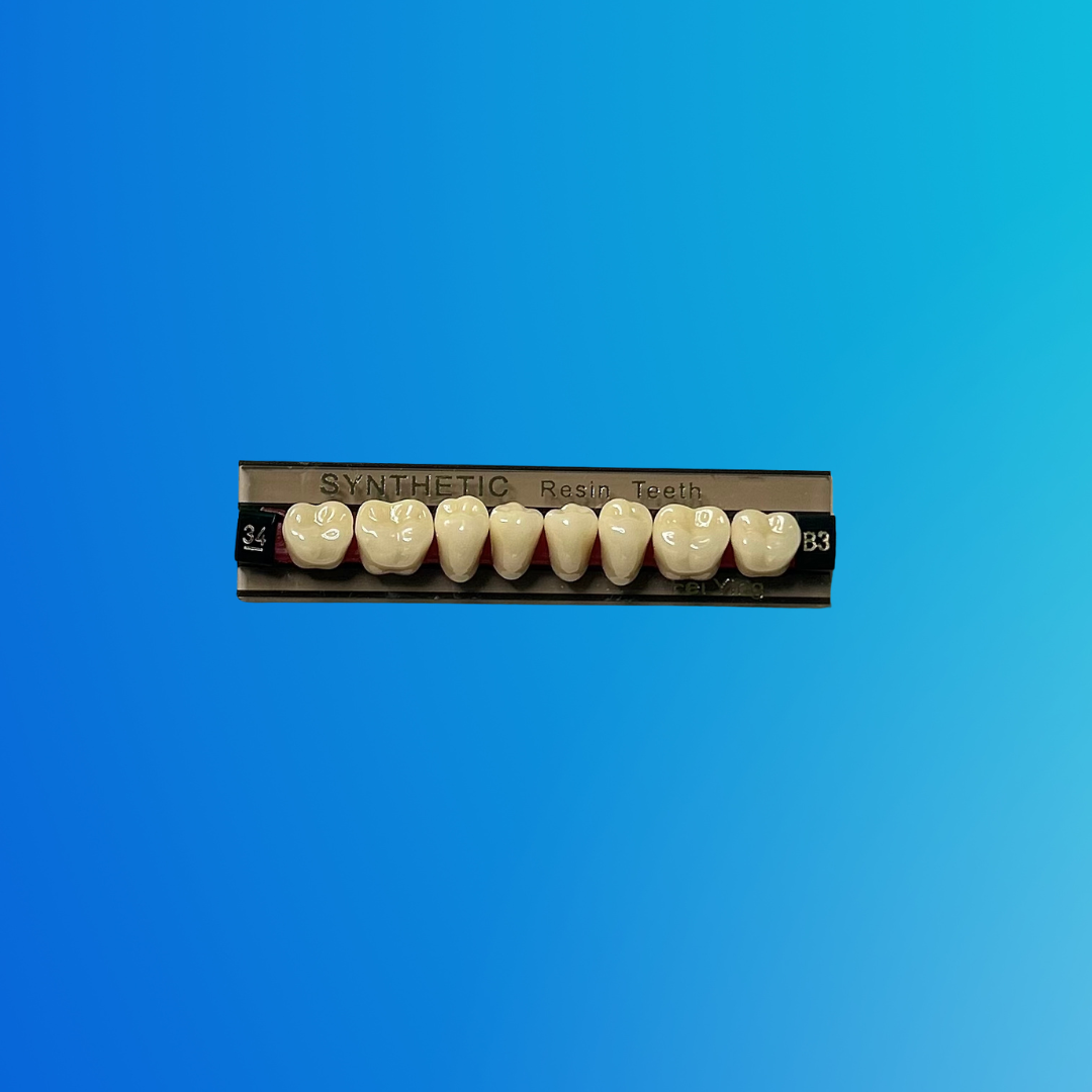 (B-3/34/I) Tablilla de Dientes Sintéticos B-3 Posterior Inferior N°34 X UNIDAD