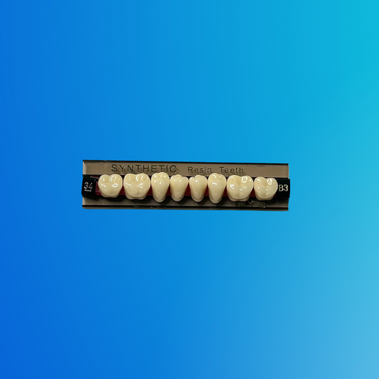 (B-3/34/I) Tablilla de Dientes Sintéticos B-3 Posterior Inferior N°34 X UNIDAD