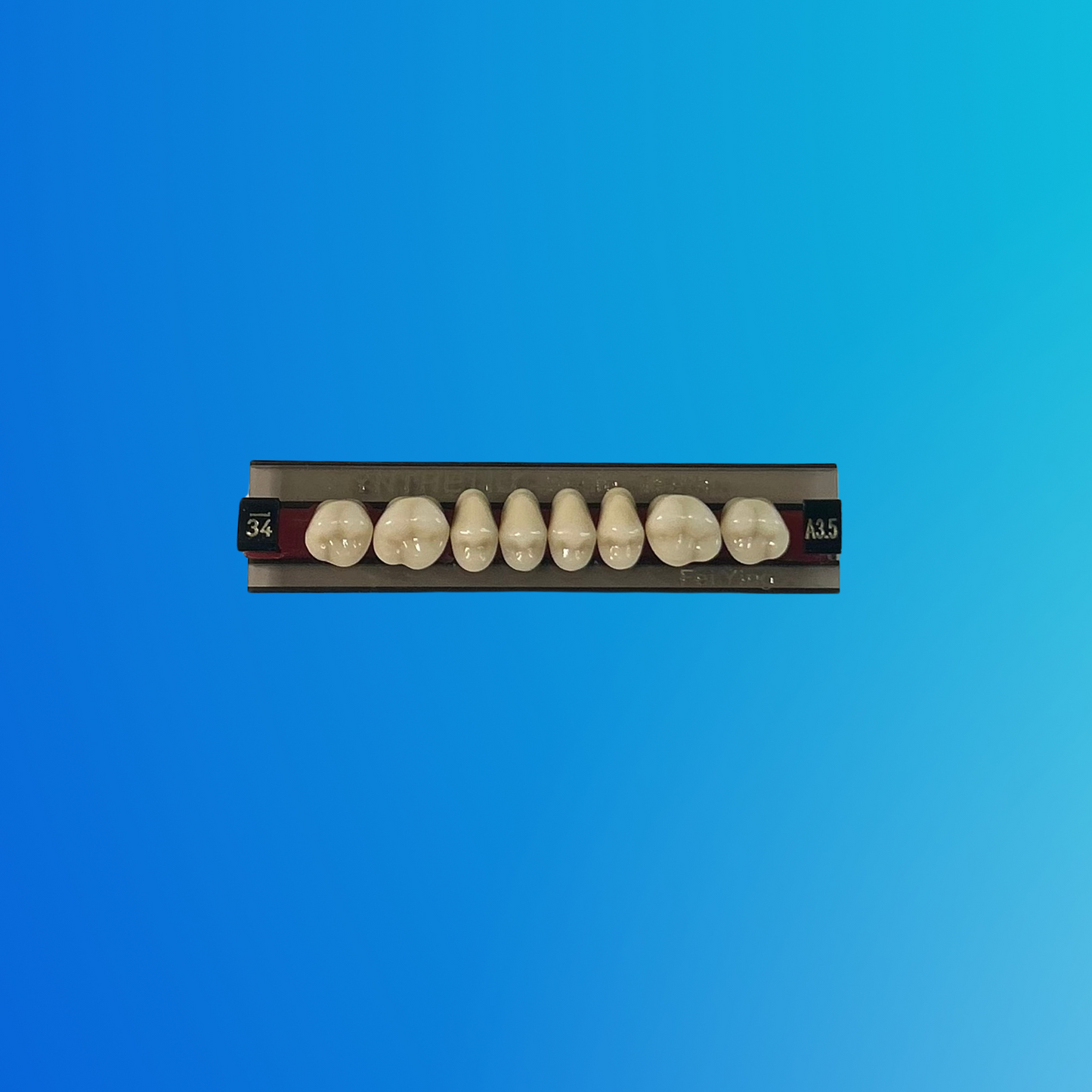 (A3.5/34/S) Tablilla de Dientes Sintéticos A3.5 Posterior Superior N°34 X UNIDAD