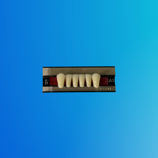 (A3/U37) Tablilla de Dientes Sintéticos A3 Anterior Inferior N°U37 X UNIDAD