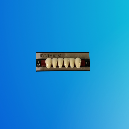 (A3/U67) Tablilla de Dientes Sintéticos A3 Anterior Inferior N°U67 X UNIDAD