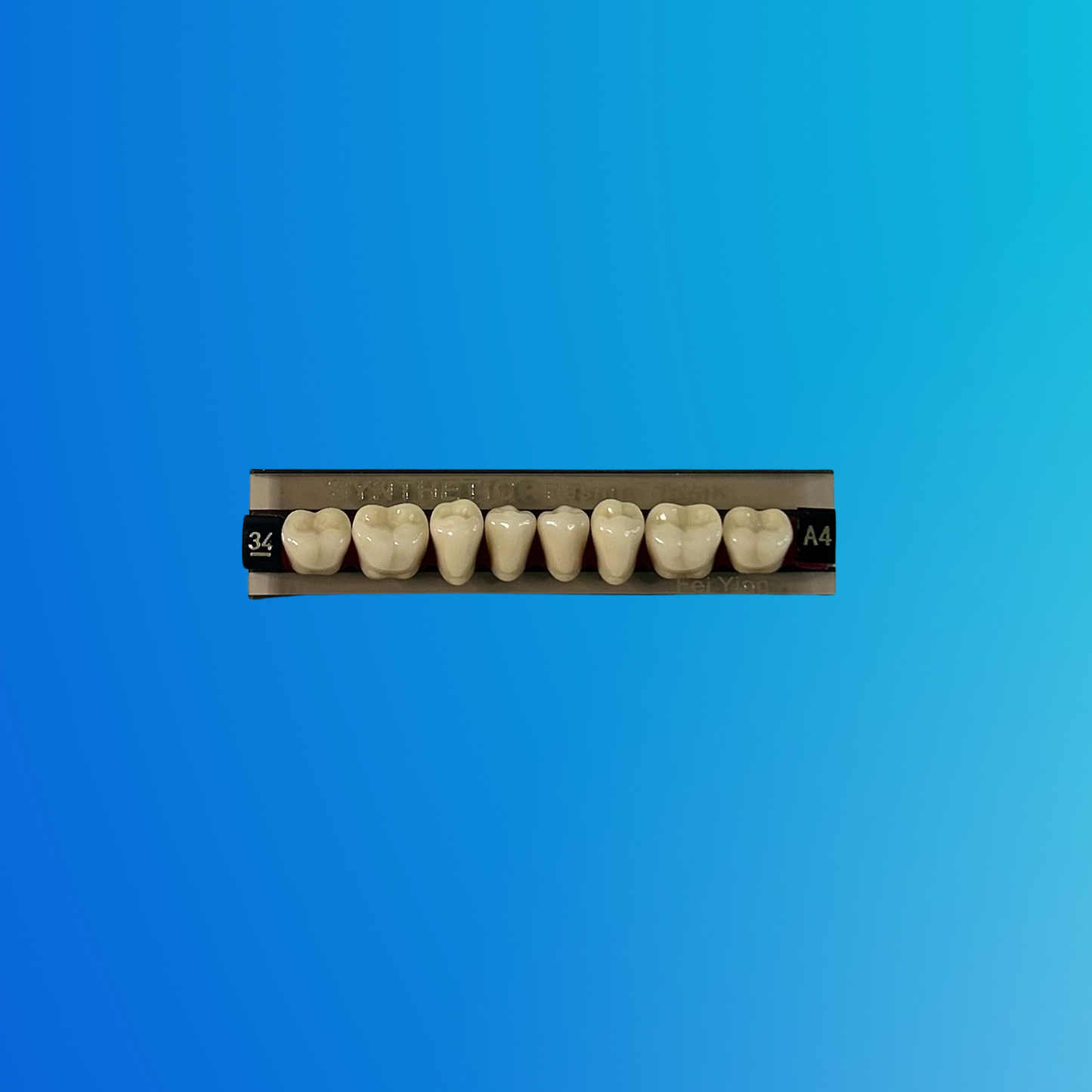 (A4/34/I) Tablilla de Dientes Sintéticos A4 Posterior Inferior N°34 X UNIDAD