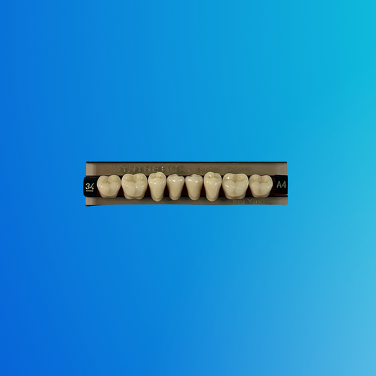 (A4/34/I) Tablilla de Dientes Sintéticos A4 Posterior Inferior N°34 X UNIDAD