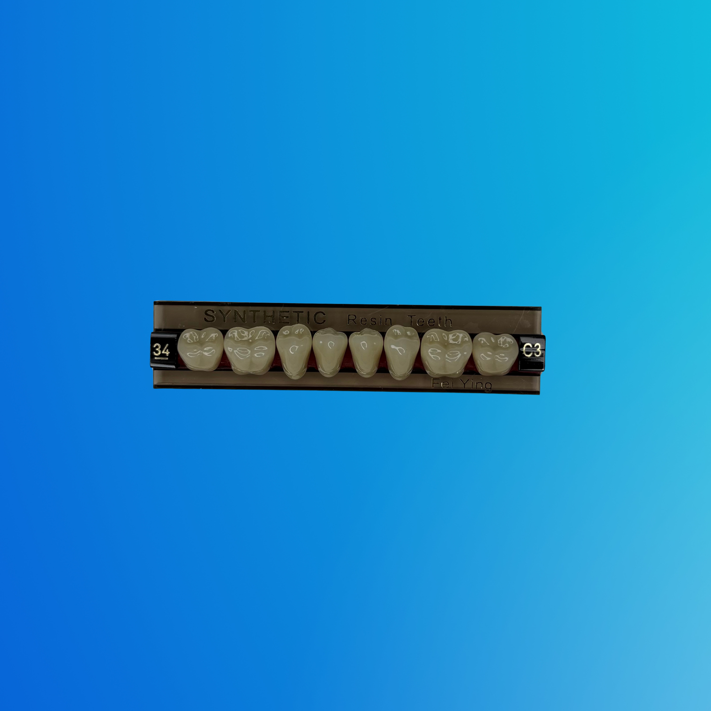 (C3/34/I) Tablilla de Dientes Sintéticos C3 Posterior Inferior N°34 X UNIDAD