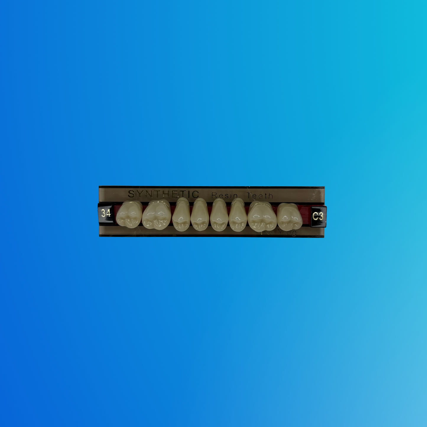 (C3/34/S) Tablilla de Dientes Sintéticos C3 Posterior Superior N°34 X UNIDAD