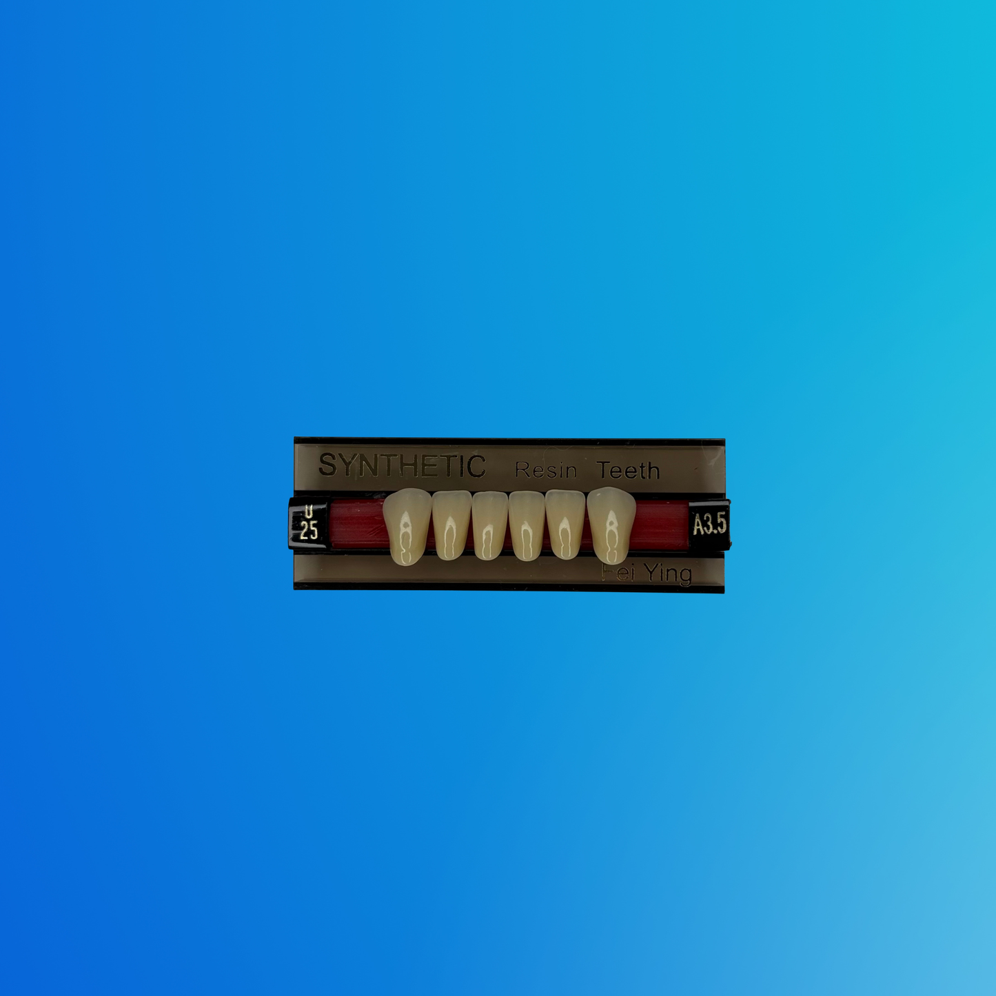 (A3.5/U25) Tablilla de Dientes Sintéticos A3.5 Anterior Inferior N°U25 X UNIDAD