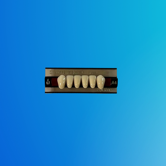 (A4/U67) Tablilla de Dientes Sintéticos A4 Anterior Inferior N°U67 X UNIDAD