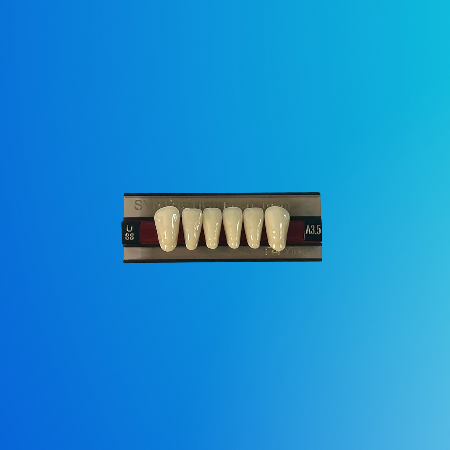 (A3.5/U88) Tablilla de Dientes Sintéticos A3.5 Anterior Inferior N°U88 X UNIDAD