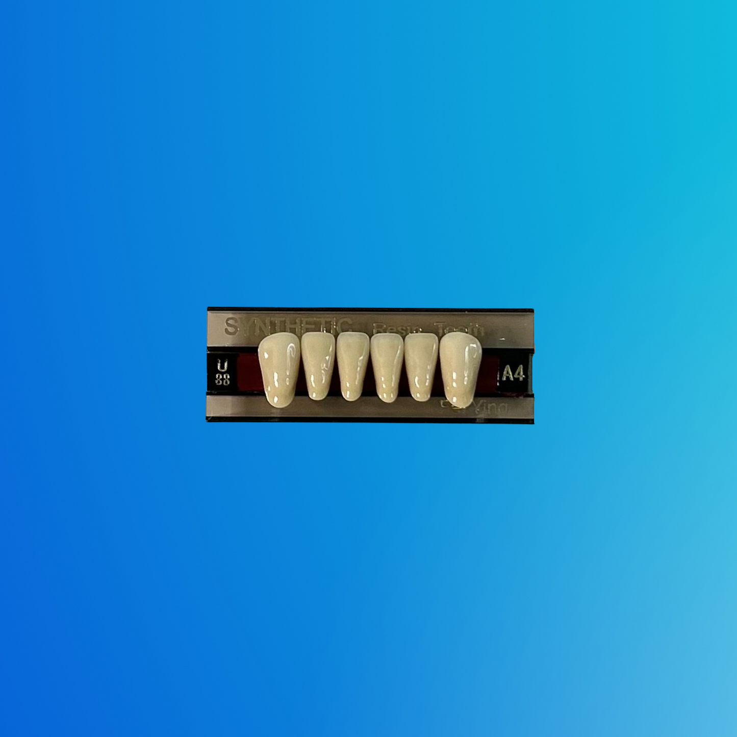 (A4/U88) Tablilla de Dientes Sintéticos A4 Anterior Inferior N°U88 X UNIDAD